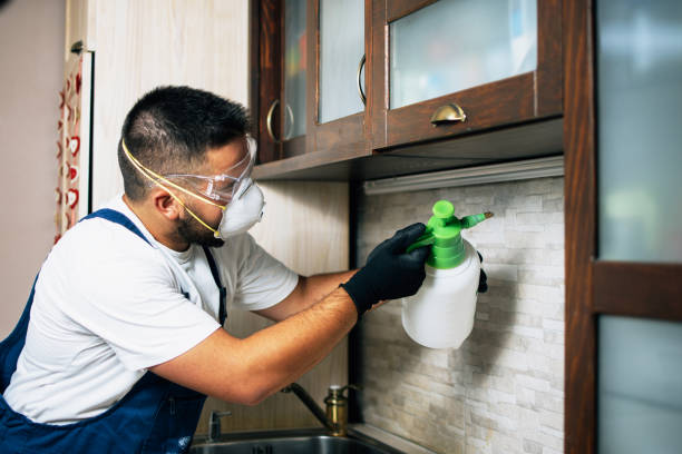 Best Cockroach Control Services  in Los Chaves, NM