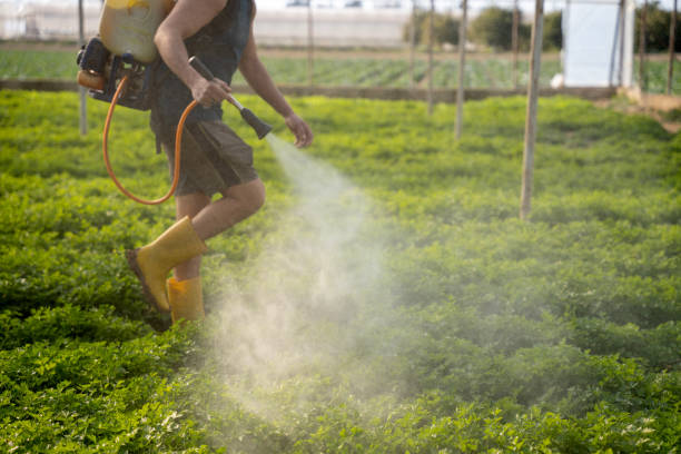 Best Best Pest Control Companies  in Los Chaves, NM