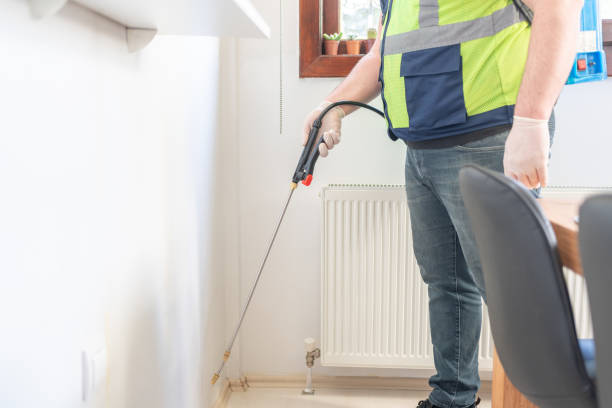 Best Termite Control Services  in Los Chaves, NM