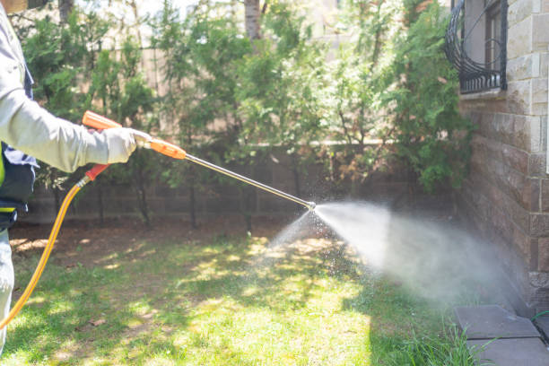 Trusted Los Chaves, NM Pest Control Experts