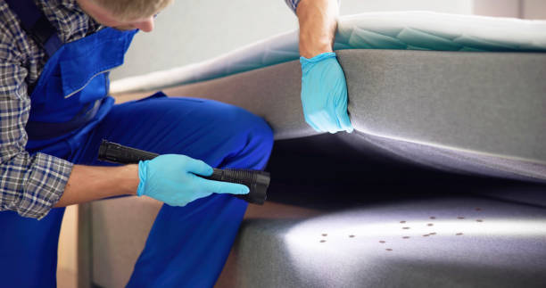 Best Pest Inspection Near Me  in Los Chaves, NM